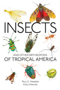 Insects Tropical America cover