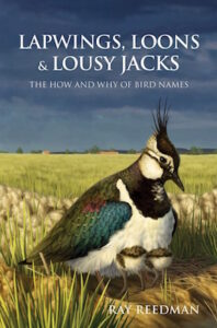 Lapwings Loons cover