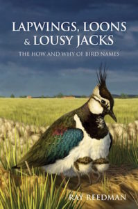 Lapwings Loons cover