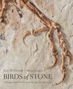 birds-of-stone-cover