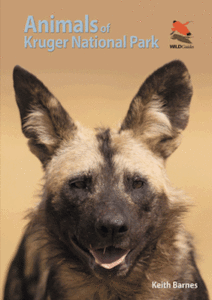 animals-of-kruger-cover