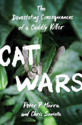 cat-wars-cover