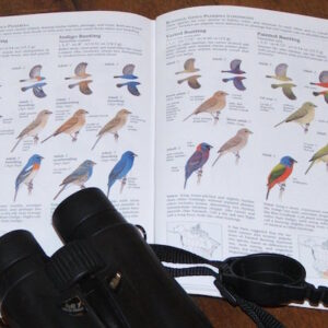birders-library-avatar