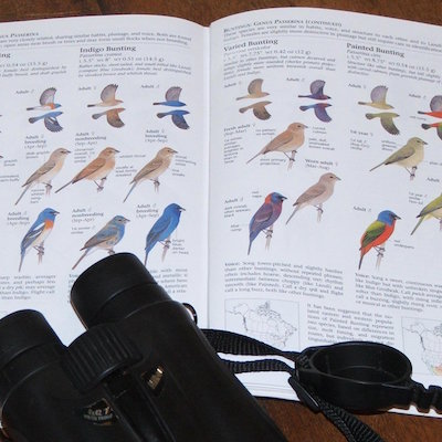 Happy Anniversary to The Birder’s Library! – The Well-read Naturalist