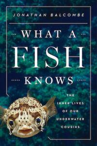 what-a-fish-knows-cover