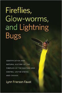 Fireflies Glow Worms cover