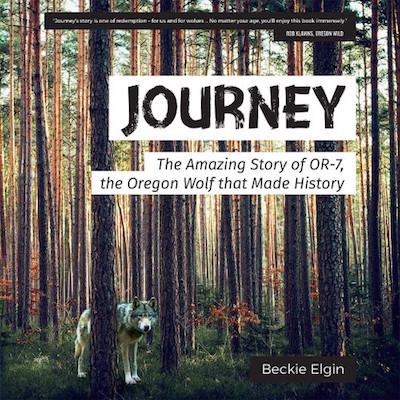 Journey OR7 cover