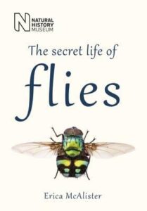 Secret Life Flies cover