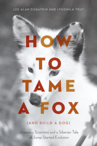 How to Tame a Fox cover