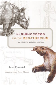 Rhinoceros Megatherium cover