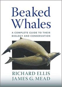 Beaked Whales cover