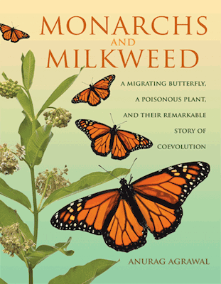 Monarchs Milkweed cover