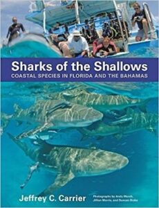 Sharks Shallows cover