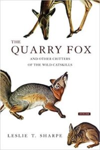 Quarry Fox cover