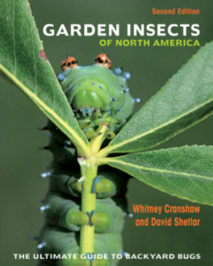 Garden Insects second edition cover