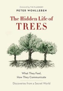 Hidden Life of Trees cover