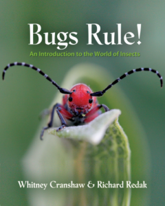 Bugs Rule cover
