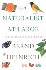 Naturalist At Large cover