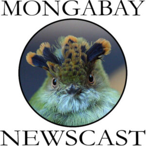 Mongabay podcast logo
