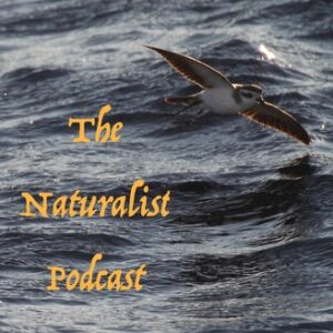 Naturalist Podcast logo