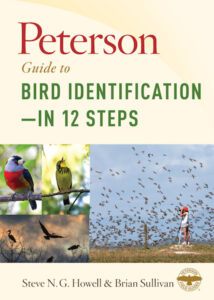 Peterson Guide Bird Identification cover