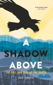Shadow Above cover