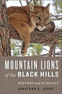 Mountain Lions Black Hills cover