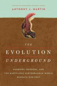 Evolution Underground cover