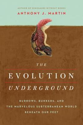 Evolution Underground cover