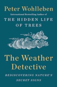 Weather Detective cover