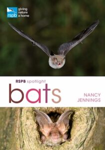 RSPB Spotlight Bats cover
