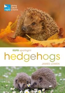 RSPB Spotlight Hedgehogs cover