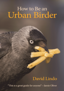 Urban Birder cover