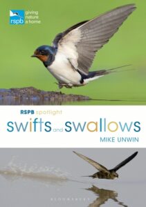 RSPB Spotlight Swifts Swallows cover