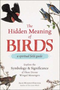 Hidden Meaning Birds cover