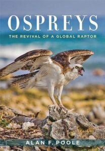 Ospreys cover