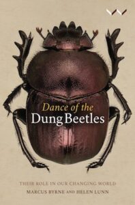 Dance Dung Beetles cover