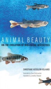 Animal Beauty cover