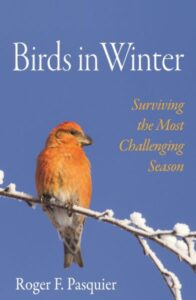 Birds in Winter cover