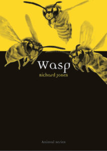 Wasp cover