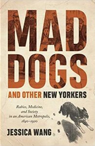 Mad Dogs cover