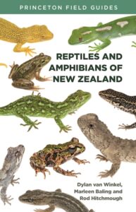 Reptiles Amphibians New Zealand cover