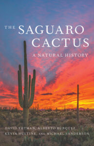 Saguaro Cactus cover