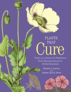 Plants Cure cover