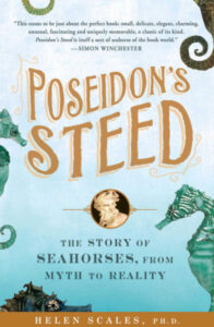 Poseidons Steed cover