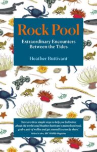 Rock Pool cover