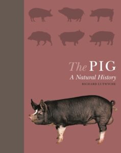The Pig cover