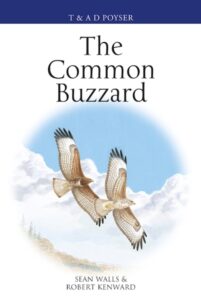 Common Buzzard cover