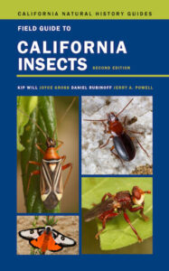 FG California Insects 2 cover