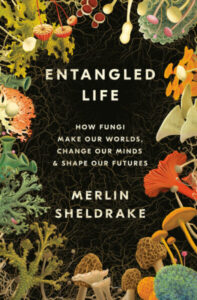 Entangled Life US cover